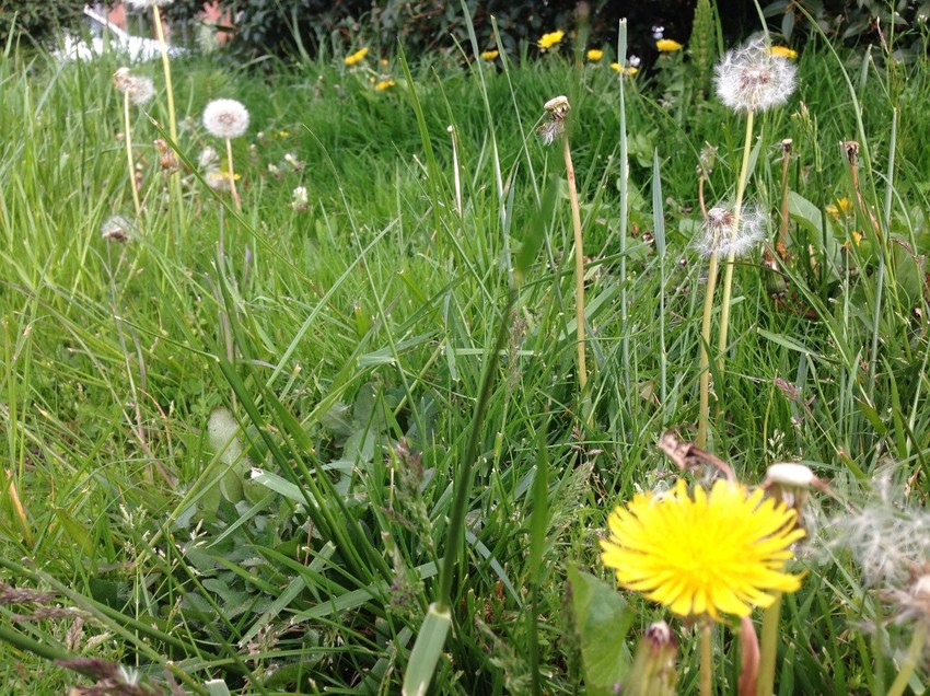 2018年　教育部会　5月報告（詳細は写真をクリック）