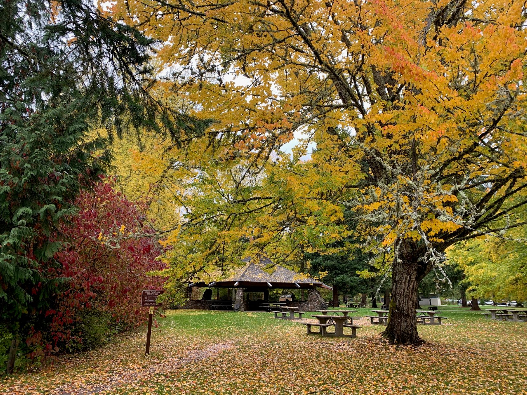 2025年　経済・文化部会　11月報告　秋の味覚BBQ
